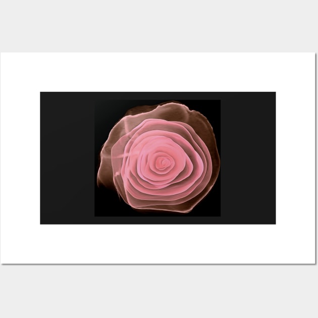 Pink Whisper Alcohol Rose Abstract Wall Art by SeaChangeDesign